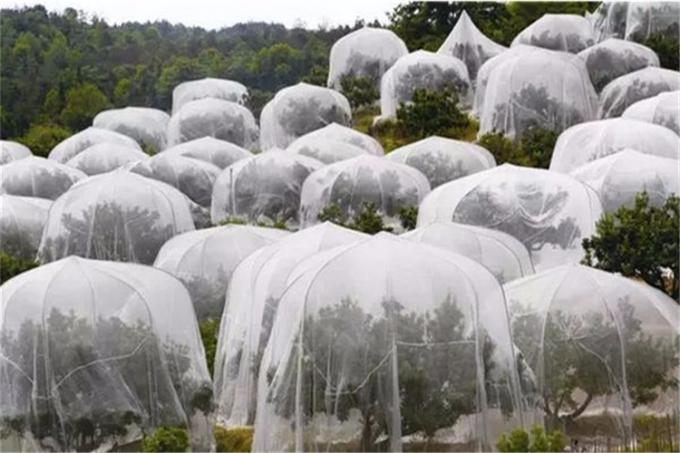 Πλαστικό πλέγμα εντόμων χρήσης θερμοκηπίων, HDPE της Virgin αλιεία με δίχτυα απόδειξης εντόμων