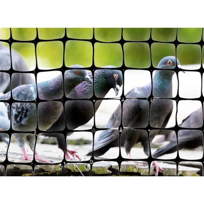 Πλαστικό HDPE δίκτυο πουλιών εξώθησης αντι για το γεωργικό αμπελώνα
