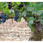 Plastic HDPE Extrusion Anti Bird Net For Agricultural vineyard