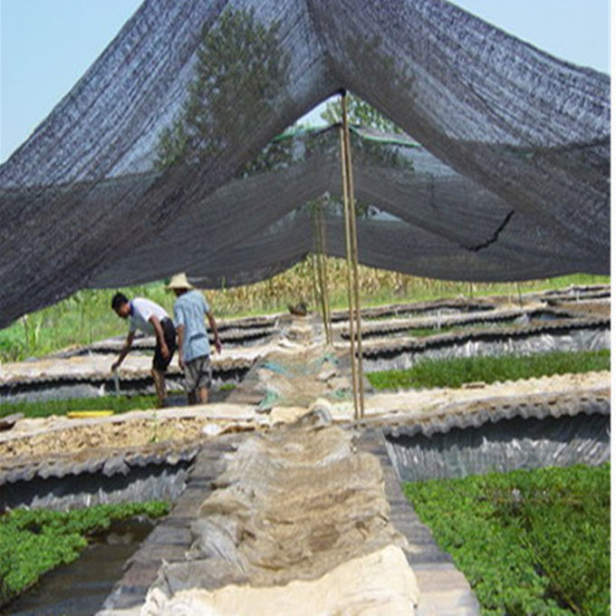 HDPE γεωργίας ύφασμα σκιάς ήλιων, ποσοστό σκιάς δικτύου 30%-90% σκιάς θερμοκηπίων